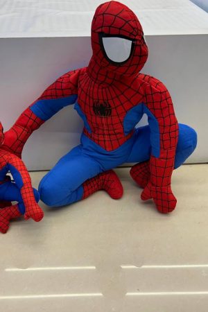 big 40cm -800 birr small 25cm -350